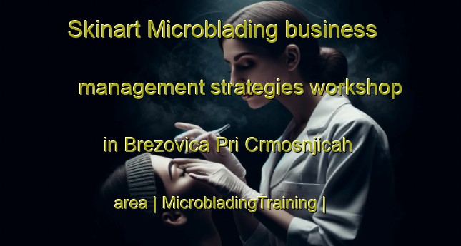 Skinart Microblading business management strategies workshop in Brezovica Pri Crmosnjicah area | MicrobladingTraining | MicrobladingClasses | SkinartTraining-Slovenia